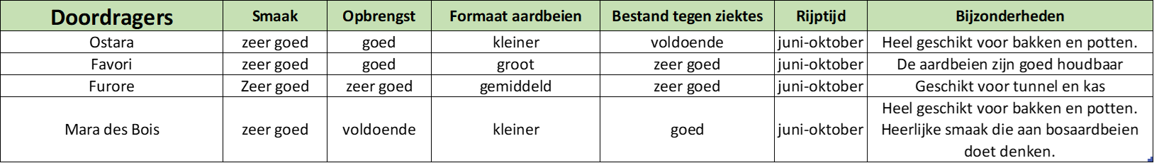 Aardbeien doordragers ras