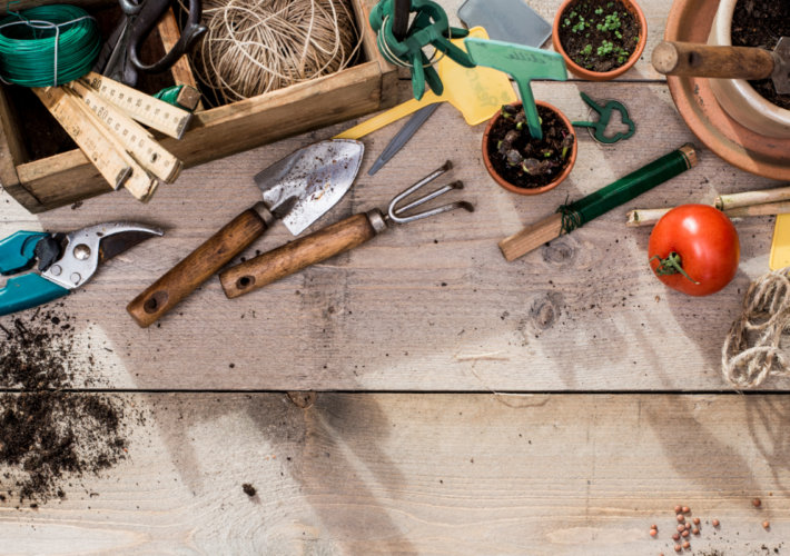 Moestuinboeken voor beginners